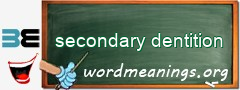 WordMeaning blackboard for secondary dentition